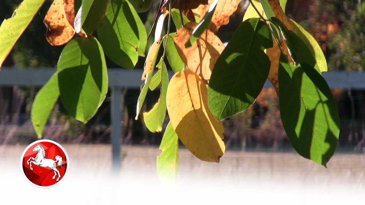 Ein sonniger Tag im Spätsommer