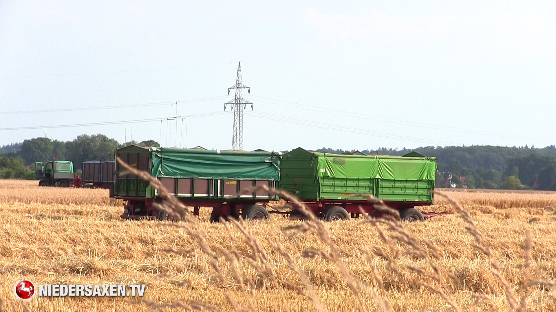 Getreideernte in Niedersachsen: „Nun ist es reif das Ährenfeld“