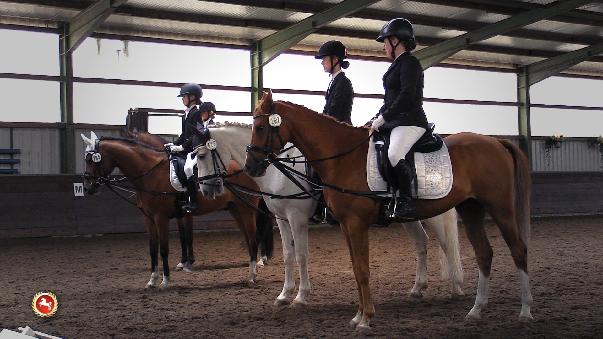 Reitturnier des Reit- und Fahrvereins Wechold-Martfeld Reitturnier des Reit- und Fahrvereins Wechold-Martfeld